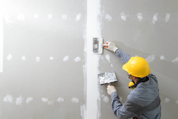 Mold Remediation for Vacation Homes in Croswell, MI